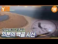 Download Lagu 무인도에서 발견된 백골시신 | Y드라이브