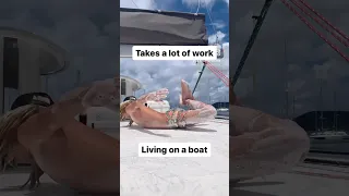 Living On a Sailboat Isn’t Always Adventure, It’s a Ton Of Work!
