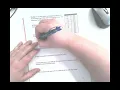 B2 - Exponential Regression