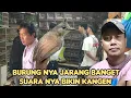 Download Lagu BURUNG NYA JARANG BANGET SUARANYA BIKIN KANGEN 