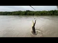 “Spectacular Jumping Crocodile Feeding” 🇦🇺 