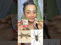 Download Lagu ঘর থেকে টিকটিকি 🦎 আর মাকড়সা 🕷️ তাড়ানোর উপায় 🕸️😱 ১০০% কাজ #minivlog #bengalivideo #shorts #bengali