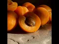 Honey and Apricot Healthy Hair Shampoo - Video 2 of 1