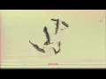 HAAi, Jon Hopkins, KAM-BU - Always Ascending (DJ-Kicks) (Official Visual)