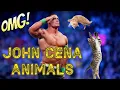 Lagu JOHN CENA Best Animals Edition | Crazy Vibes #29