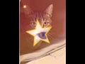 Download Lagu Noah Project Cats
