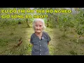 Download Lagu Gặp Bà Cụ Chất Nhất Thanh Hoá Từng Khuấy Đảo Cả  VTV Vì Tinh Thần Thoát Nghèo Không Ai Dám Làm..!!