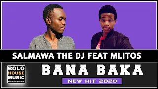 salmawa the dj bana baka feat mlitos original 