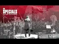 The Specials - Gangsters (Live from the Cathedral / Visualiser)