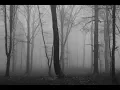 Gif for wattpad - Hush Falls