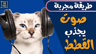 صوت يجذب القطط إليك ويجعلها تأتي بسرعة  سمع الصوت دة للقطط وشوف رد فعلها صوت قطة  دندنها