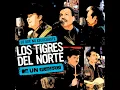 La Camioneta Gris (Live) - Los Tigres Del Norte