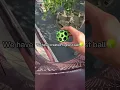 Download Lagu Highest bouncy ball in the world 😱