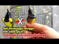 Download Lagu Inilah Penyebab Sogon Bahan Anda \