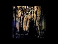 Download Lagu Mazzy Star - So Tonight That I Might See (.Ascension Version)