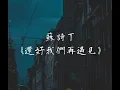 蘇詩丁《還好我們再遇見》電視劇《十年三月三十日》插曲  無損音質「往事如煙 才徒增 了眷戀」【動態歌詞 Lyrics】 Chinese Music