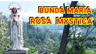 Download BANYAK CERITA DI GUA MARIA ROSA MYSTICA MP3