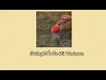บังเอิญตั้งใจรัก-Bll Warisara-