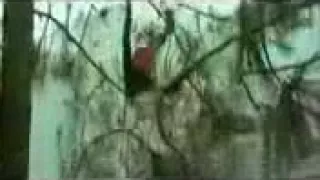فات كام سنه ف الهنا وانا شيفه حب جديد وكمان زاد حبك وغزلتلي من شوقك مركب سفرت بيا لأبعد كوكب   دندنها
