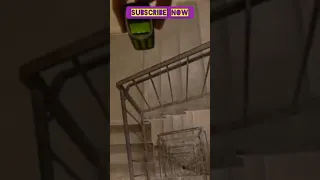 Drop Test Nokia 3310 Smartphone The Nokia Phone Shorts Droptest Nokiadroptest Nokia Nokia3310  Drop Test Nokia 3310 Smartphone The Nokia Phone Shorts Droptest Nokiadroptest Nokia Nokia3310