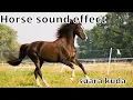 Download Lagu HORSE SOUND EFFECT SUARA KUDA SUARA BINATANG