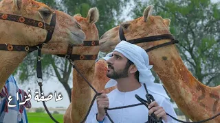 عاصفة فزاع   عيضه المنهالي دندنها