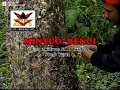 Download Lagu \