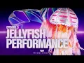 Download Lagu Jellyfish Performs \