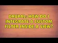 Drupal How do I integrate a custom filter inside a view