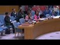 Download Lagu Noura Erakat Speaks on Palestine at the UN Security Council (6 October, 2025)
