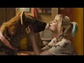 Video di Birds of Prey e la fantasmagorica rinascita di Harley Quinn - Nuovo Trailer Ufficiale Italiano