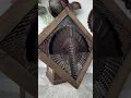 Turkey Feather Art Eastern Edition