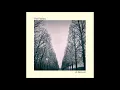 The Feelies - When to Go