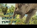 Download Lagu Once upon a time in jungle...|Animals kindles#animalstoriesforkids