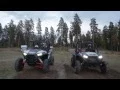 Polaris RZR 1000 vs RZR 900