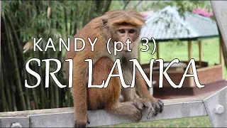 Kandy – Part 3, Sri Lanka (Leave to Roam Sri Lanka Ep 13)