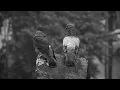 Forest Rain & Birds for Deep Relaxation 🌿🐦 | 3 Hours of Natural Sounds