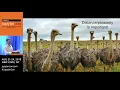How JupyterLab and widgets enable interactive analysis of the Earth s past present and future