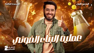 شرح عالمي لدرس عملية البناء الضوئي الوحدة الثالثة علوم تانية إعدادي ترم أول 2026 مع مستر علي زعلوك 