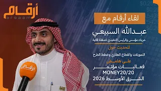 تمويلات ب    مليارات ريال وخطط للطرح   إلى أين تتجه صفقة المالية  دندنها