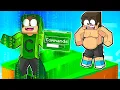 Download Lagu I TROLLED my FRIEND on 1 BLOCK using ADMIN in Minecraft!