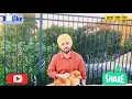 DILJIT DOSANJH TALKS ABOUT IKKA