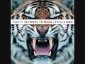 30 Seconds To Mars-L490