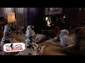 Download Lagu Date Night, Lady \u0026 The Tramp | (3/15) Movie Scenes | 102 Dalmatians (2000) HD