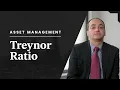 Treynor Ratio Explained in 3 minutes