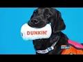 Dunkin - Dog Toys