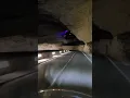 Lagu Riding through the cave of Mas d'Azil in France with my motorbike #bikers #travel #nature #cave