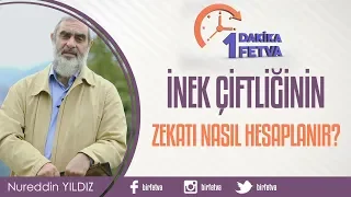İnek çiftliğinin zekatı nasıl hesaplanır?