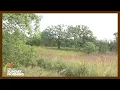 We don t want it to be a secret anymore UWM at Waukesha Field Station is a hidden treasure