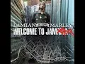 Damian Marley - All Night (ft. Stephen Marley)